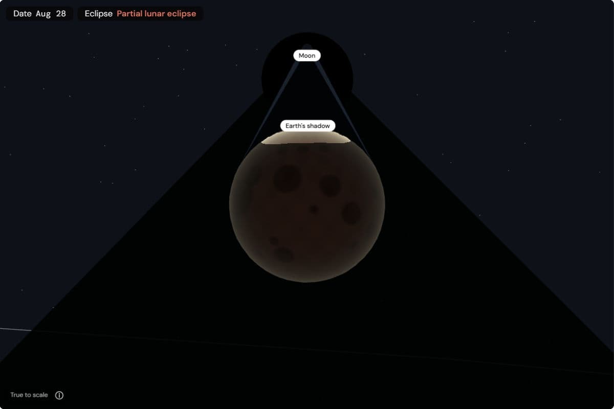 True-to-scale close-up on 28 August 2026: the Moon, dark reddish brown, almost completely inside the cone of Earth's shadow